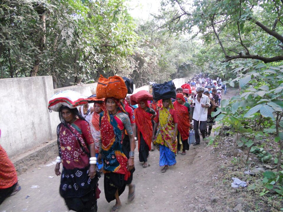 Girnar Parikrama — Annual Circumambulation of the Sacred Mountain